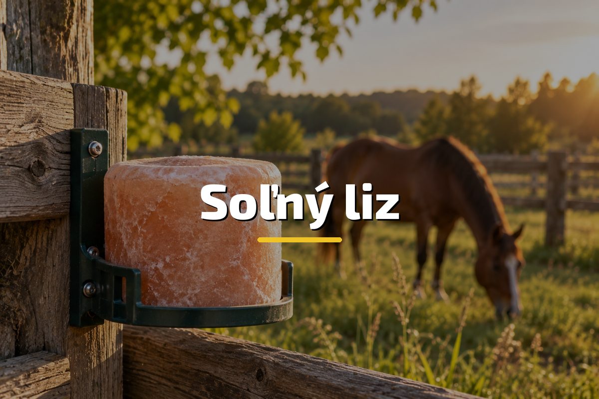 Soľný liz